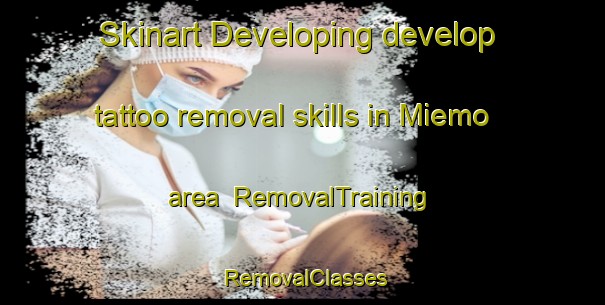 Skinart Developing develop tattoo removal skills in Miemo area | RemovalTraining | RemovalClasses | SkinartTraining-Italy