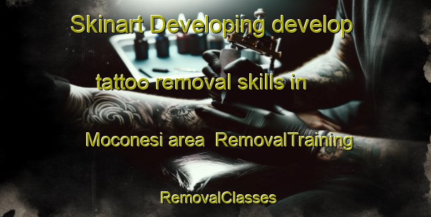 Skinart Developing develop tattoo removal skills in Moconesi area | RemovalTraining | RemovalClasses | SkinartTraining-Italy