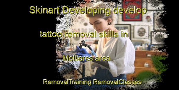 Skinart Developing develop tattoo removal skills in Mollieres area | #RemovalTraining #RemovalClasses #SkinartTraining-Italy