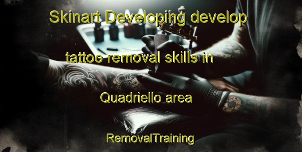 Skinart Developing develop tattoo removal skills in Quadriello area | RemovalTraining | RemovalClasses | SkinartTraining-Italy