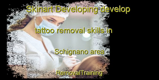 Skinart Developing develop tattoo removal skills in Schignano area | RemovalTraining | RemovalClasses | SkinartTraining-Italy