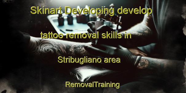 Skinart Developing develop tattoo removal skills in Stribugliano area | RemovalTraining | RemovalClasses | SkinartTraining-Italy