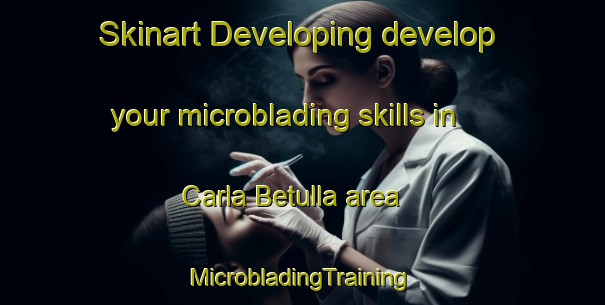 Skinart Developing develop your microblading skills in Carla Betulla area | #MicrobladingTraining #MicrobladingClasses #SkinartTraining-Italy