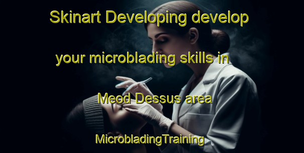 Skinart Developing develop your microblading skills in Meod Dessus area | #MicrobladingTraining #MicrobladingClasses #SkinartTraining-Italy