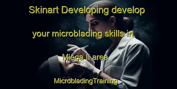 Skinart Developing develop your microblading skills in Miega Ii area | MicrobladingTraining | MicrobladingClasses | SkinartTraining-Italy