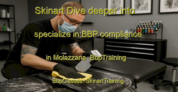 Skinart Dive deeper into specialize in BBP compliance in Molazzana | BbpTraining | BbpClasses | SkinartTraining-Italy