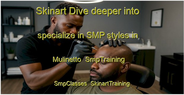 Skinart Dive deeper into specialize in SMP styles in Mulinetto | SmpTraining | SmpClasses | SkinartTraining-Italy