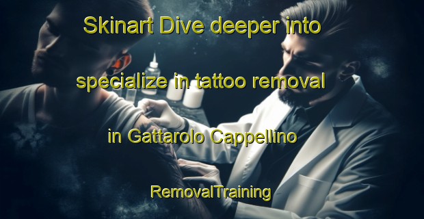 Skinart Dive deeper into specialize in tattoo removal in Gattarolo Cappellino | RemovalTraining | RemovalClasses | SkinartTraining-Italy