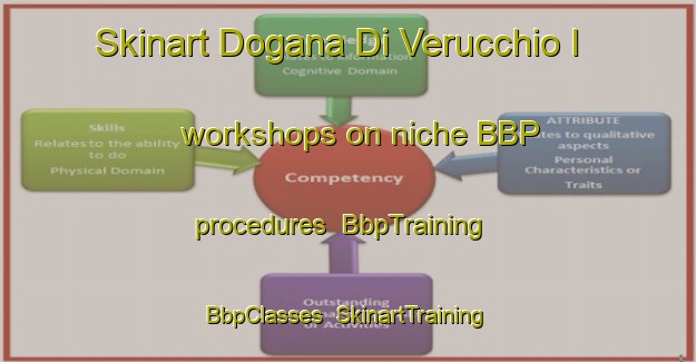 Skinart Dogana Di Verucchio I workshops on niche BBP procedures | BbpTraining | BbpClasses | SkinartTraining-Italy