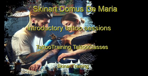 Skinart Domus De Maria introductory tattoo sessions | #TattooTraining #TattooClasses #SkinartTraining-Italy