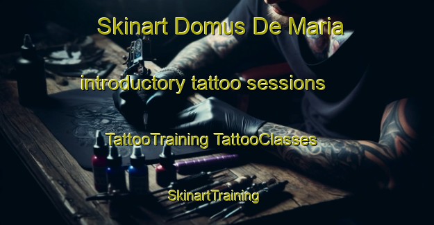 Skinart Domus De Maria introductory tattoo sessions | #TattooTraining #TattooClasses #SkinartTraining-Italy