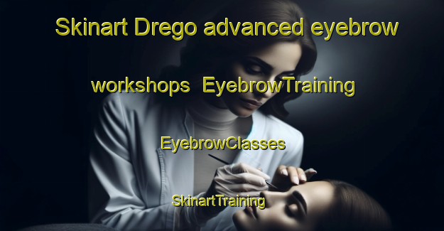 Skinart Drego advanced eyebrow workshops | EyebrowTraining | EyebrowClasses | SkinartTraining-Italy