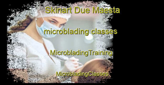 Skinart Due Maesta microblading classes | #MicrobladingTraining #MicrobladingClasses #SkinartTraining-Italy