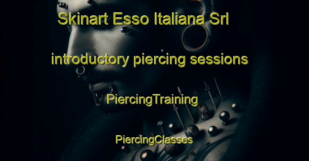 Skinart Esso Italiana Srl introductory piercing sessions | #PiercingTraining #PiercingClasses #SkinartTraining-Italy