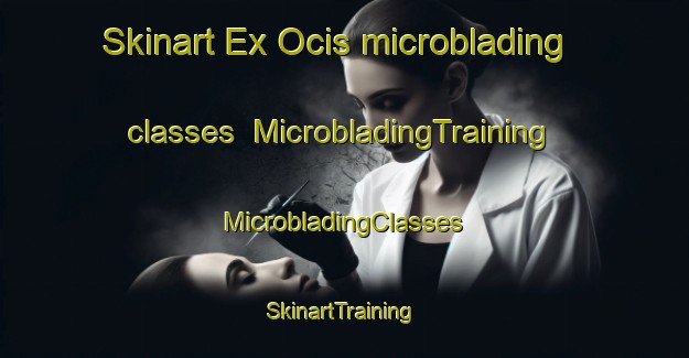 Skinart Ex Ocis microblading classes | #MicrobladingTraining #MicrobladingClasses #SkinartTraining-Italy