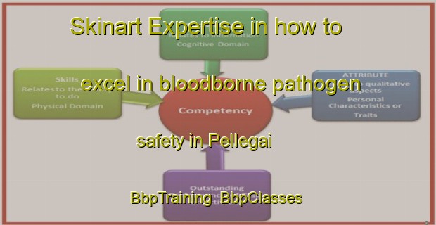 Skinart Expertise in how to excel in bloodborne pathogen safety in Pellegai | BbpTraining | BbpClasses | SkinartTraining-Italy