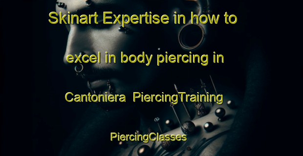 Skinart Expertise in how to excel in body piercing in Cantoniera | PiercingTraining | PiercingClasses | SkinartTraining-Italy