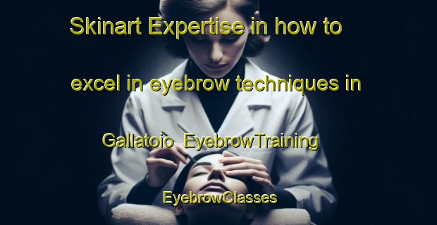 Skinart Expertise in how to excel in eyebrow techniques in Gallatoio | EyebrowTraining | EyebrowClasses | SkinartTraining-Italy