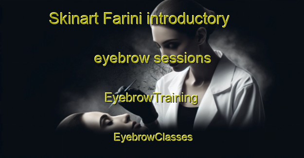 Skinart Farini introductory eyebrow sessions | EyebrowTraining | EyebrowClasses | SkinartTraining-Italy