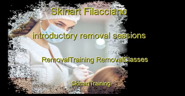 Skinart Filacciano introductory removal sessions | #RemovalTraining #RemovalClasses #SkinartTraining-Italy