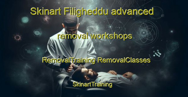 Skinart Filigheddu advanced removal workshops | #RemovalTraining #RemovalClasses #SkinartTraining-Italy