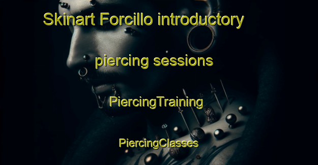 Skinart Forcillo introductory piercing sessions | #PiercingTraining #PiercingClasses #SkinartTraining-Italy