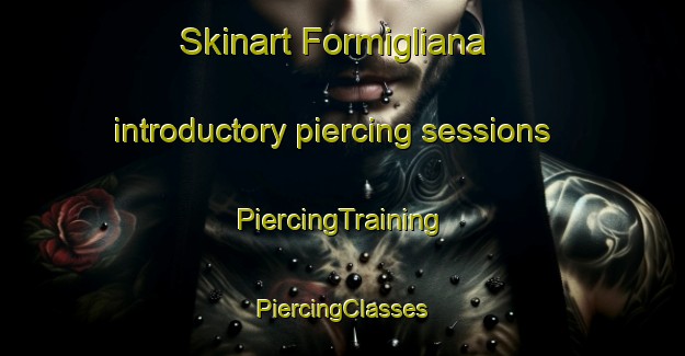 Skinart Formigliana introductory piercing sessions | #PiercingTraining #PiercingClasses #SkinartTraining-Italy