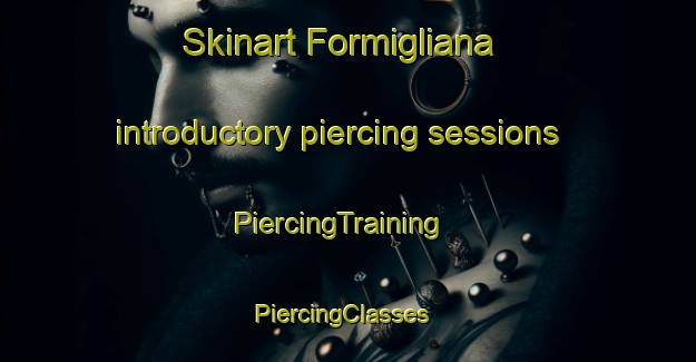 Skinart Formigliana introductory piercing sessions | PiercingTraining | PiercingClasses | SkinartTraining-Italy