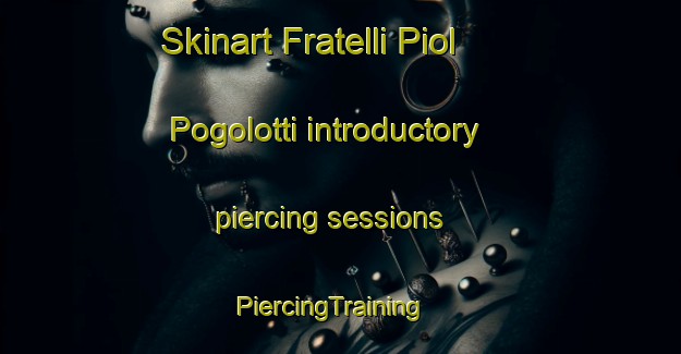 Skinart Fratelli Piol Pogolotti introductory piercing sessions | PiercingTraining | PiercingClasses | SkinartTraining-Italy