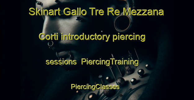 Skinart Gallo Tre Re Mezzana Corti introductory piercing sessions | PiercingTraining | PiercingClasses | SkinartTraining-Italy