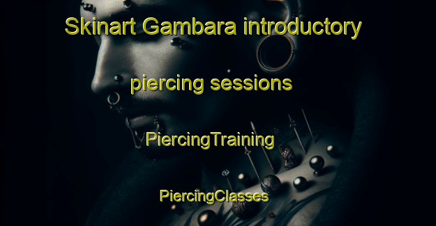 Skinart Gambara introductory piercing sessions | PiercingTraining | PiercingClasses | SkinartTraining-Italy