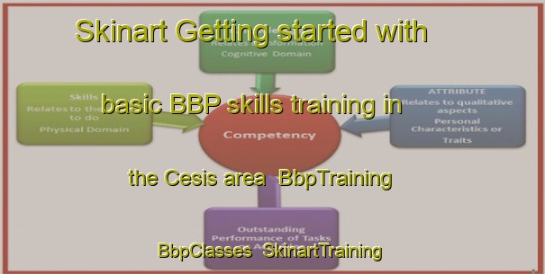 Skinart Getting started with basic BBP skills training in the Cesis area | BbpTraining | BbpClasses | SkinartTraining-Italy