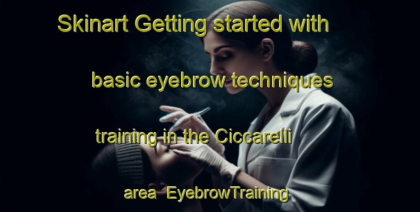 Skinart Getting started with basic eyebrow techniques training in the Ciccarelli area | EyebrowTraining | EyebrowClasses | SkinartTraining-Italy