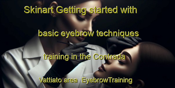 Skinart Getting started with basic eyebrow techniques training in the Contrada Vattiato area | EyebrowTraining | EyebrowClasses | SkinartTraining-Italy