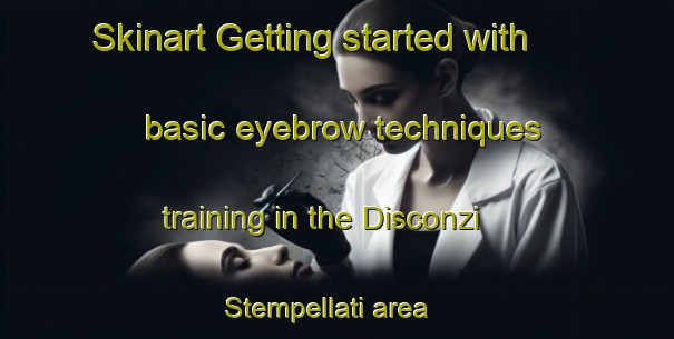 Skinart Getting started with basic eyebrow techniques training in the Disconzi Stempellati area | EyebrowTraining | EyebrowClasses | SkinartTraining-Italy
