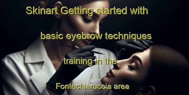 Skinart Getting started with basic eyebrow techniques training in the Fontechiaruccia area | EyebrowTraining | EyebrowClasses | SkinartTraining-Italy