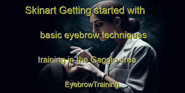 Skinart Getting started with basic eyebrow techniques training in the Gaggio area | EyebrowTraining | EyebrowClasses | SkinartTraining-Italy