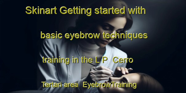 Skinart Getting started with basic eyebrow techniques training in the L P  Cerro Tartari area | EyebrowTraining | EyebrowClasses | SkinartTraining-Italy