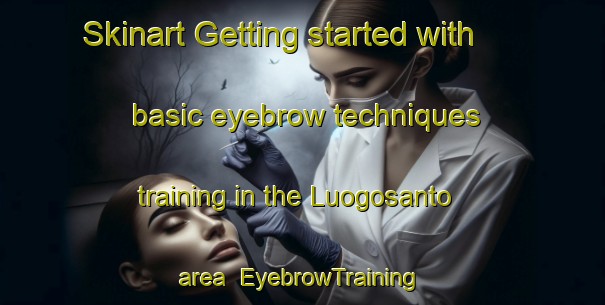 Skinart Getting started with basic eyebrow techniques training in the Luogosanto area | EyebrowTraining | EyebrowClasses | SkinartTraining-Italy