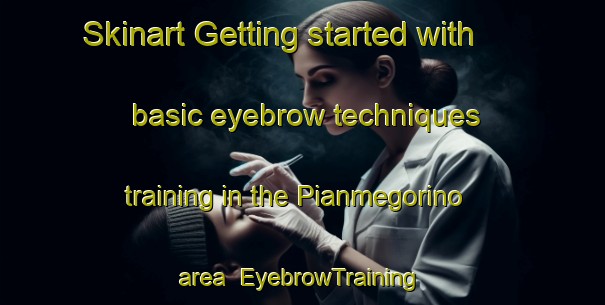 Skinart Getting started with basic eyebrow techniques training in the Pianmegorino area | EyebrowTraining | EyebrowClasses | SkinartTraining-Italy