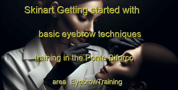 Skinart Getting started with basic eyebrow techniques training in the Ponte Biforco area | EyebrowTraining | EyebrowClasses | SkinartTraining-Italy