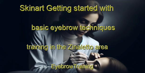 Skinart Getting started with basic eyebrow techniques training in the Zinaletto area | EyebrowTraining | EyebrowClasses | SkinartTraining-Italy