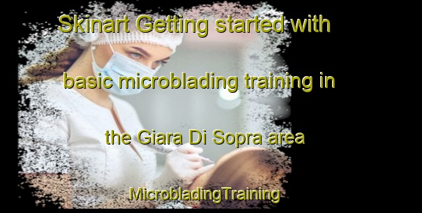 Skinart Getting started with basic microblading training in the Giara Di Sopra area | MicrobladingTraining | MicrobladingClasses | SkinartTraining-Italy