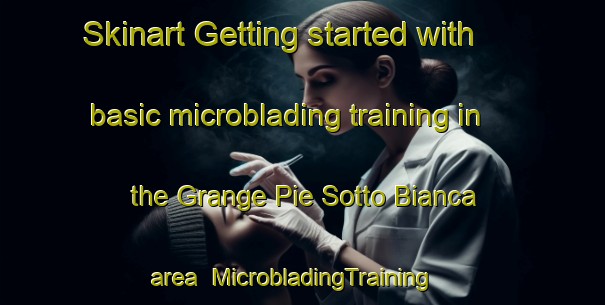 Skinart Getting started with basic microblading training in the Grange Pie Sotto Bianca area | MicrobladingTraining | MicrobladingClasses | SkinartTraining-Italy