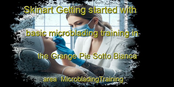 Skinart Getting started with basic microblading training in the Grange Pie Sotto Bianca area | MicrobladingTraining | MicrobladingClasses | SkinartTraining-Italy