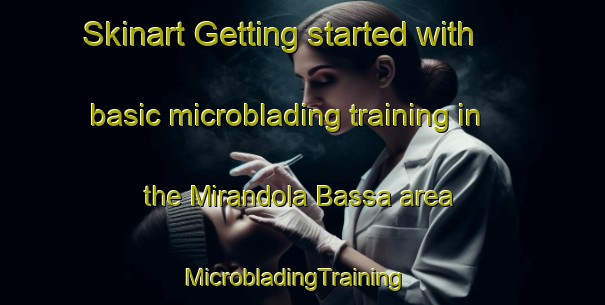 Skinart Getting started with basic microblading training in the Mirandola Bassa area | MicrobladingTraining | MicrobladingClasses | SkinartTraining-Italy