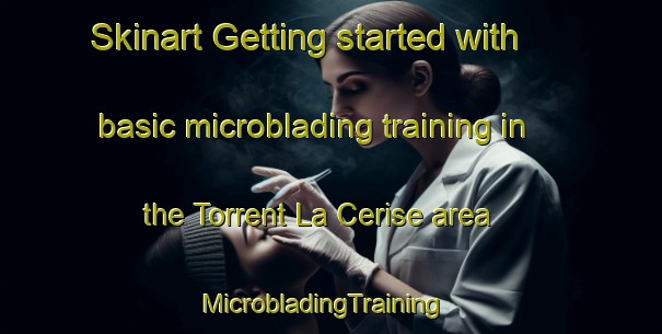Skinart Getting started with basic microblading training in the Torrent La Cerise area | MicrobladingTraining | MicrobladingClasses | SkinartTraining-Italy