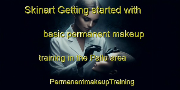 Skinart Getting started with basic permanent makeup training in the Pallu area | PermanentmakeupTraining | PermanentmakeupClasses | SkinartTraining-Italy