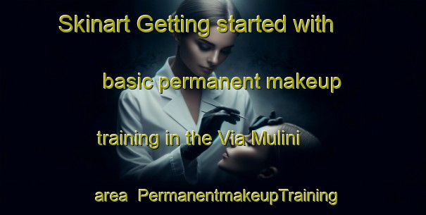 Skinart Getting started with basic permanent makeup training in the Via Mulini area | PermanentmakeupTraining | PermanentmakeupClasses | SkinartTraining-Italy