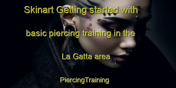 Skinart Getting started with basic piercing training in the La Gatta area | PiercingTraining | PiercingClasses | SkinartTraining-Italy